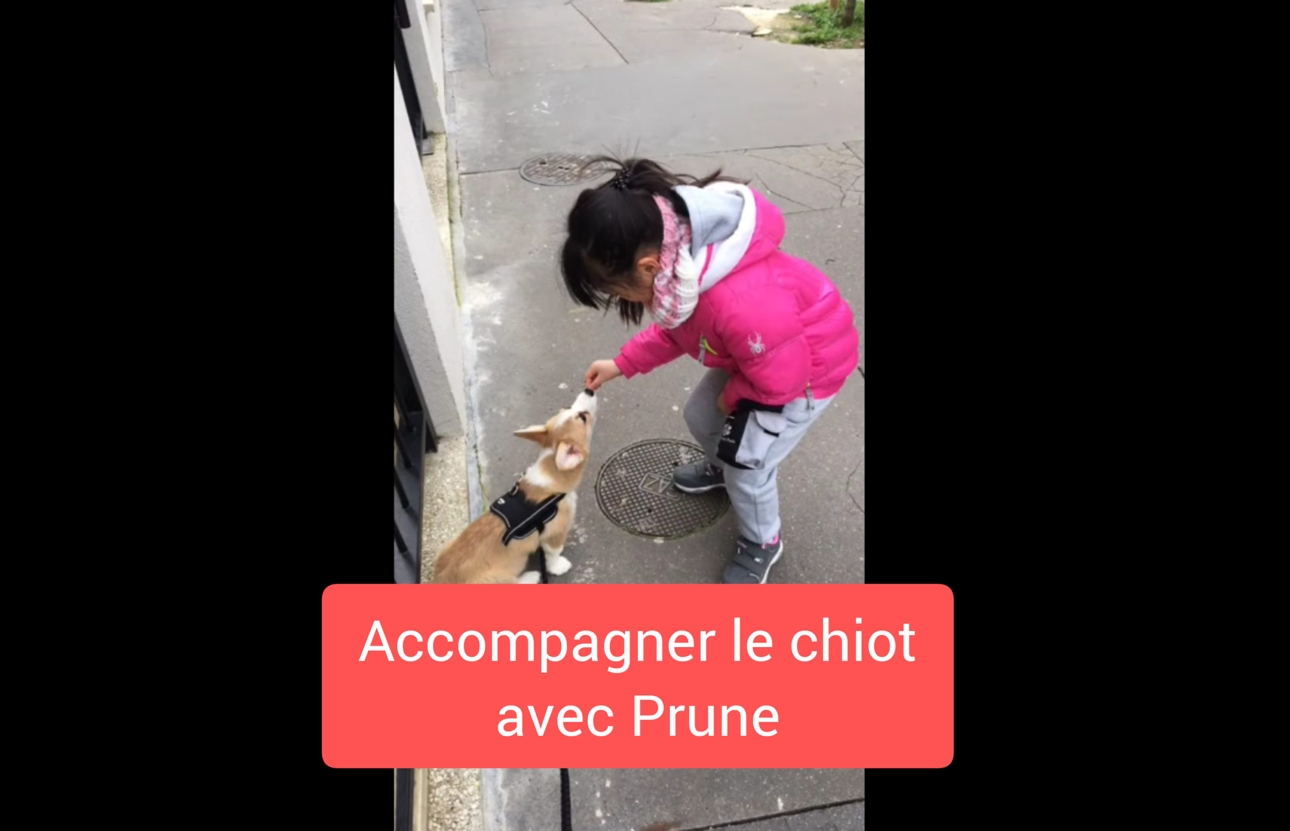 Jouer
