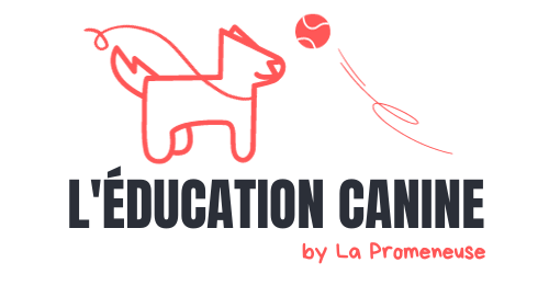 Educatrice canin en Eure-et-Loir (28), Epernon, Maintenon - L'éducation canine by La Promeneuse